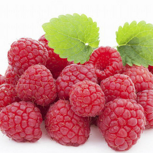 Raspberry Ketone Red Raspberry Extract Red Raspberry powder