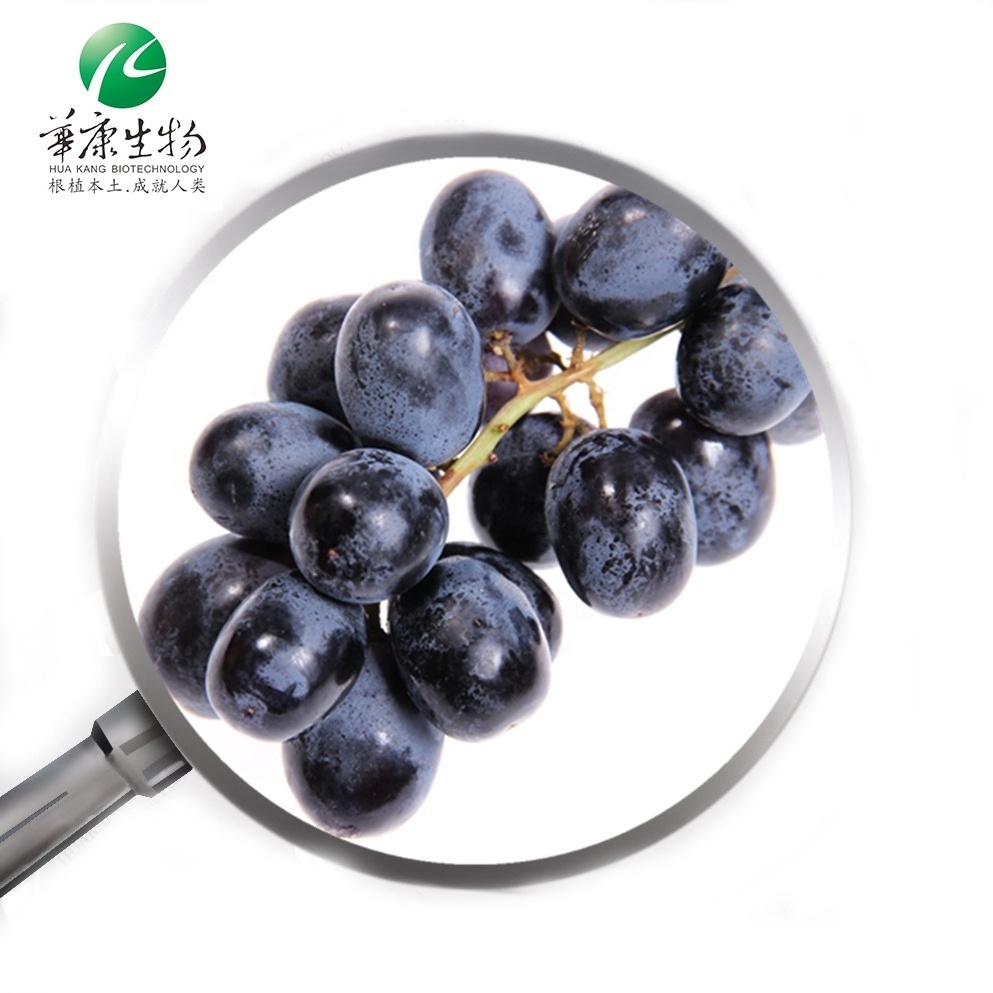 Antioxidant Anthocyanidins  Natural Coloring  Black Currant Extract Powder Ribes nigrum