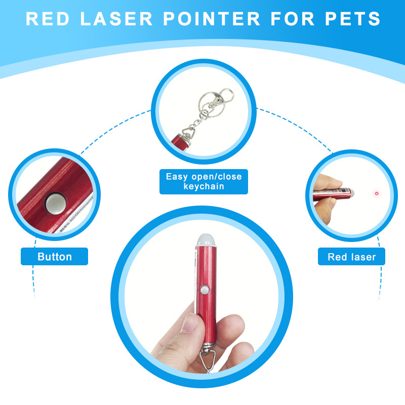 Pet laser toy Mini laser pointer Keychain for Indoor Cats Dogs