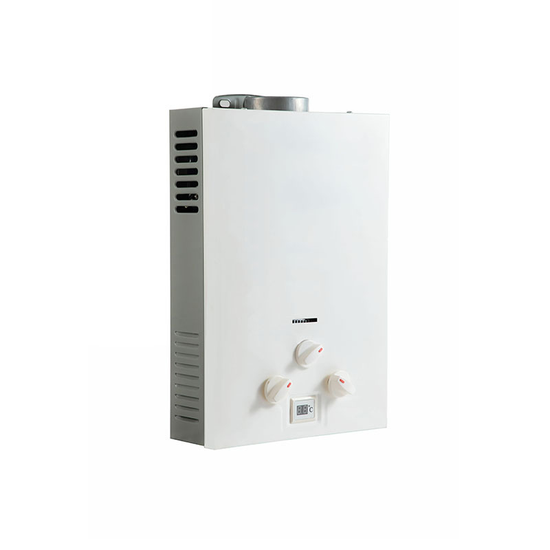 10L attractive design low price methane water gas water heater for home