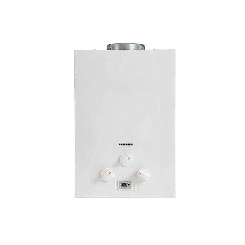 10L attractive design low price methane water gas water heater for home