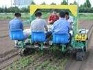 sugarcane seedling planting machine for agricultural machinery fertilization and drip irrigation seeding machine manufacturer