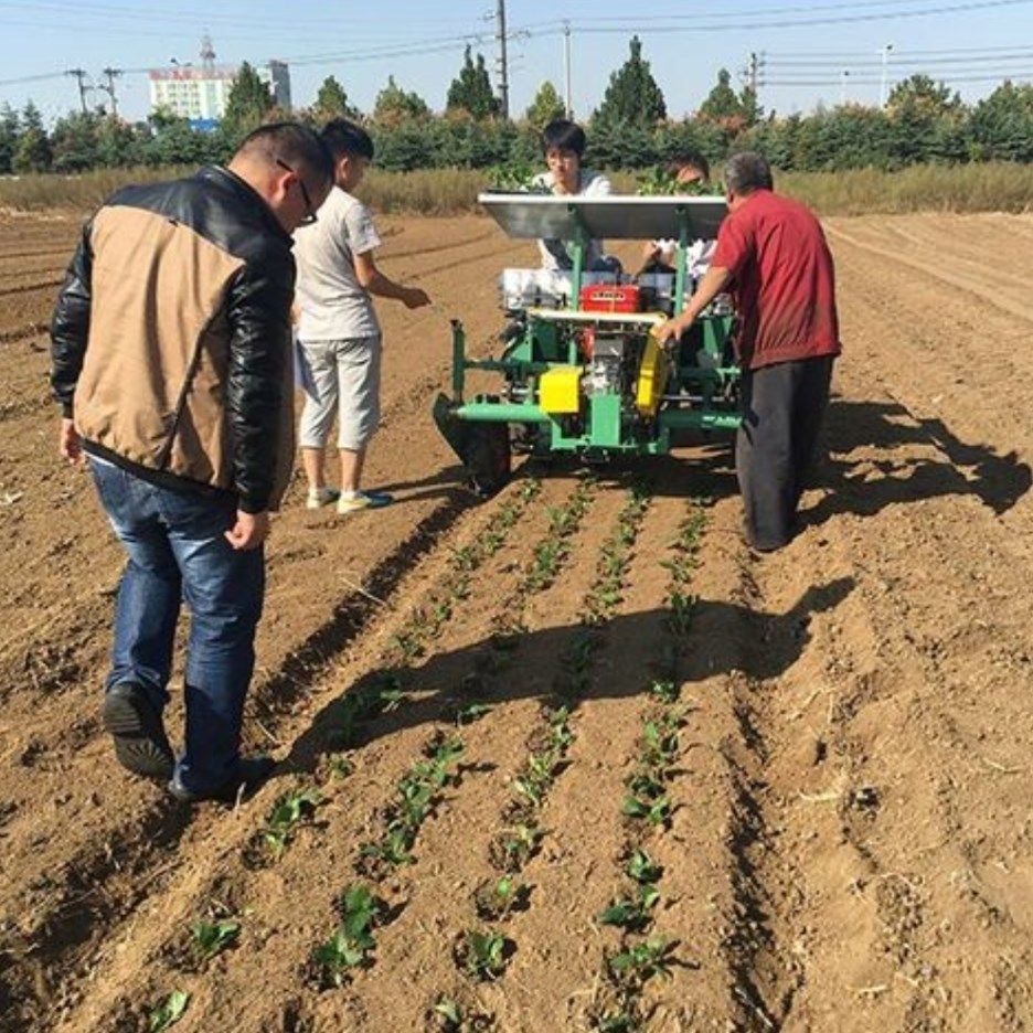 sugarcane seedling planting machine for agricultural machinery fertilization and drip irrigation seeding machine manufacturer