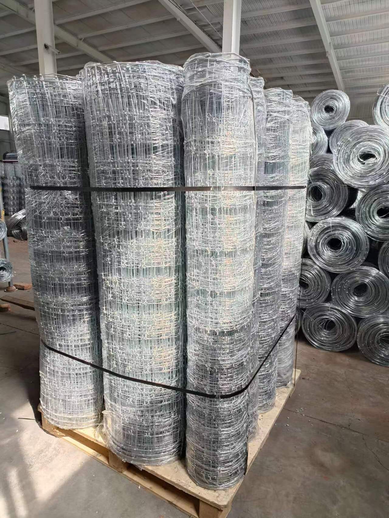 Hot Dipped Galvanized Iron Wire Mesh 2mm Diameter Square Hole Shape for Welded Horse Fence with 6mm & 8mm Aperture