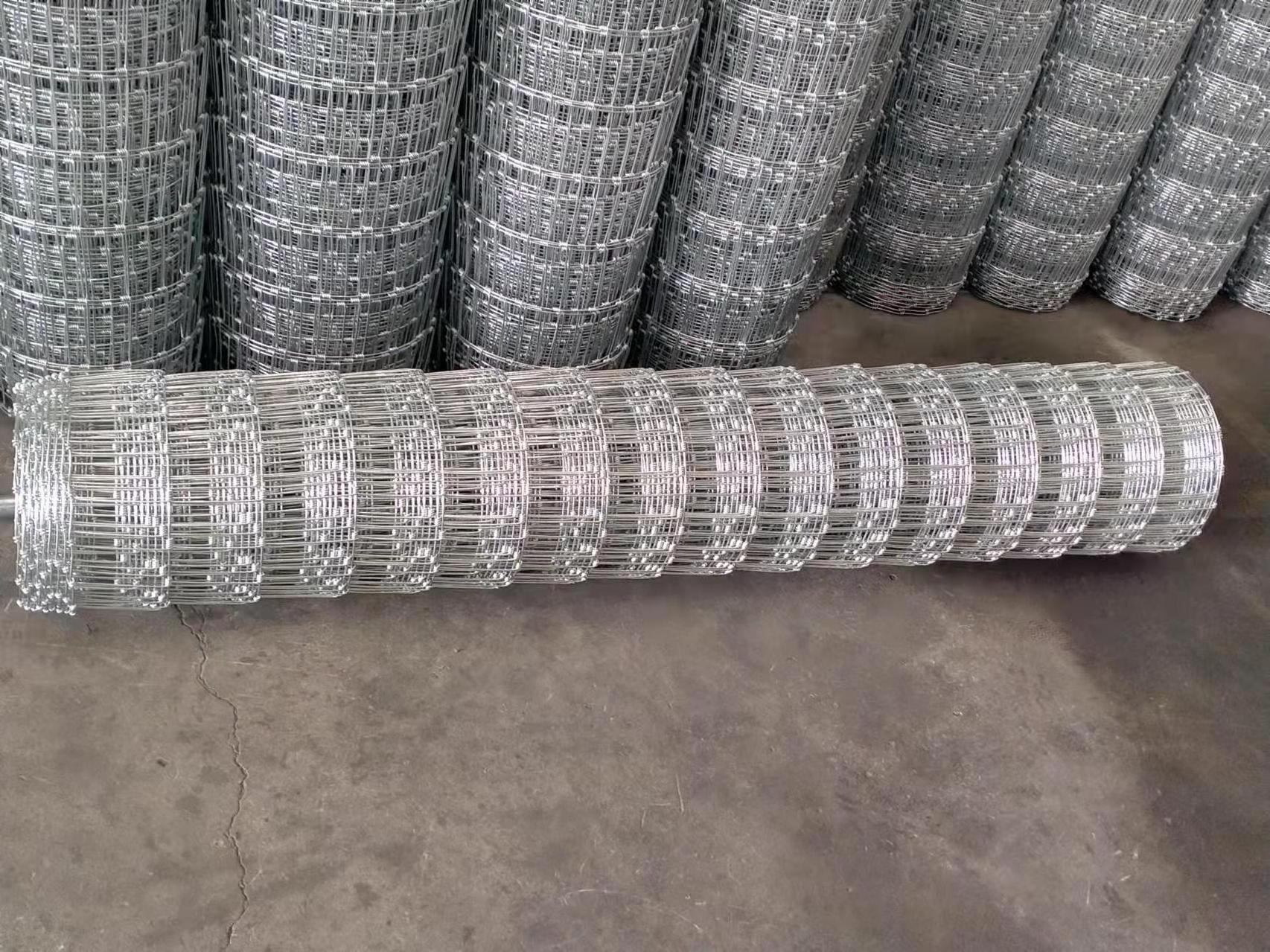 hot dipped galvanized wire mesh deer fence