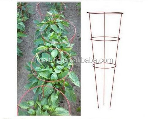 tomato plant support,Tomato cage