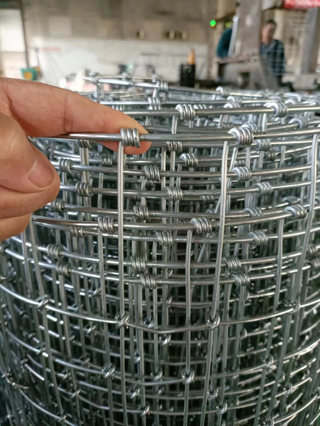 Hot Dipped Galvanized Iron Wire Mesh 2mm Diameter Square Hole Shape for Welded Horse Fence with 6mm & 8mm Aperture