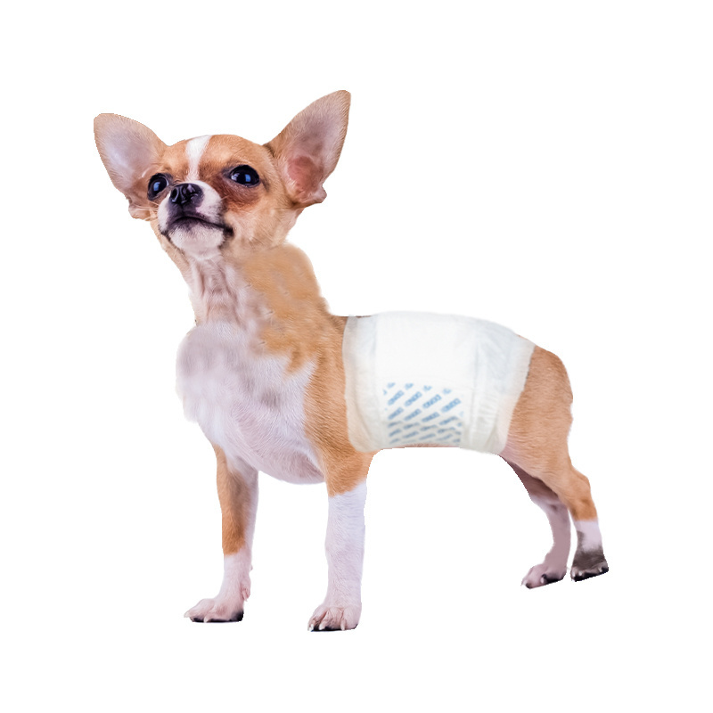 DONO Dog Shorts Disposable Doggie Diaper Durable Comfortable Stylish Dog Pants Wraps for Male Dogs