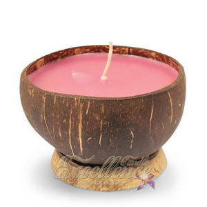 Hot sell creative coconut shell scented candle Home Decoration Wood Wick Gift Set Log Coconut Soy Wax Fragrance Candles