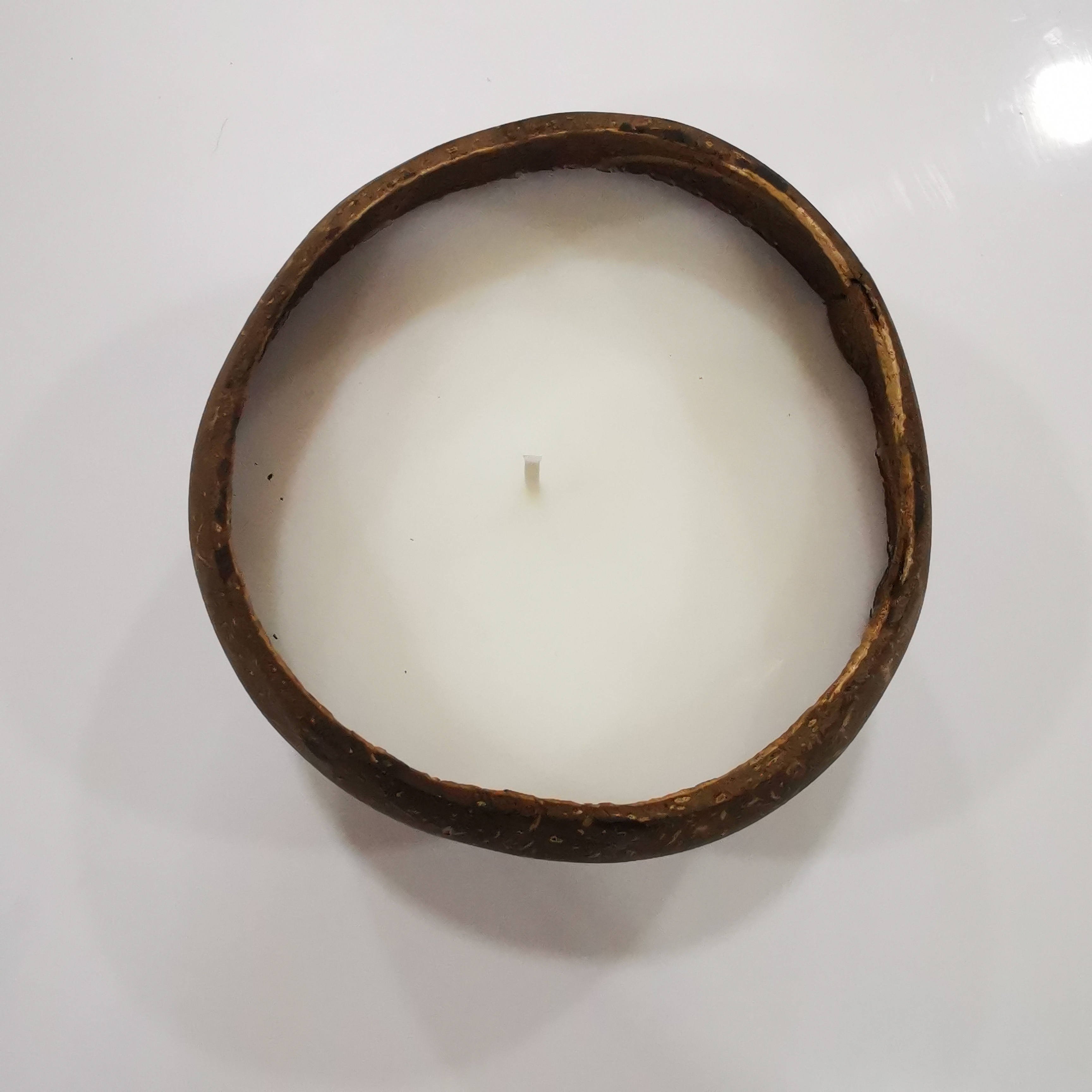 Hot sell creative coconut shell scented candle Home Decoration Wood Wick Gift Set Log Coconut Soy Wax Fragrance Candles