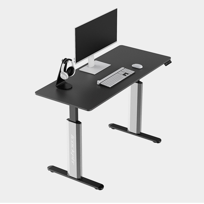 Professional Stable Lifting Desk Home PC Table Gaming Table Height Adjustable Desk Computer Electric Sit Standing Desk With RGB