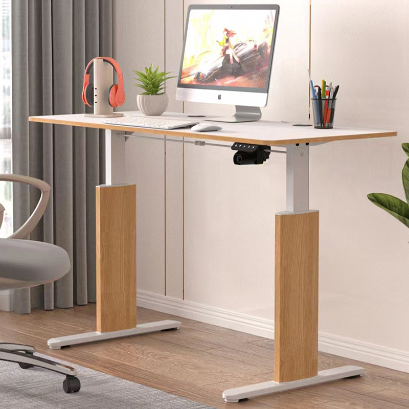 Professional Stable Lifting Desk Home PC Table Gaming Table Height Adjustable Desk Computer Electric Sit Standing Desk With RGB