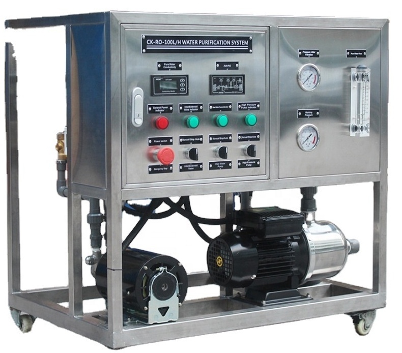 250LPH Automation Mini Seawater Desalination Machine Portable Ro Water ...