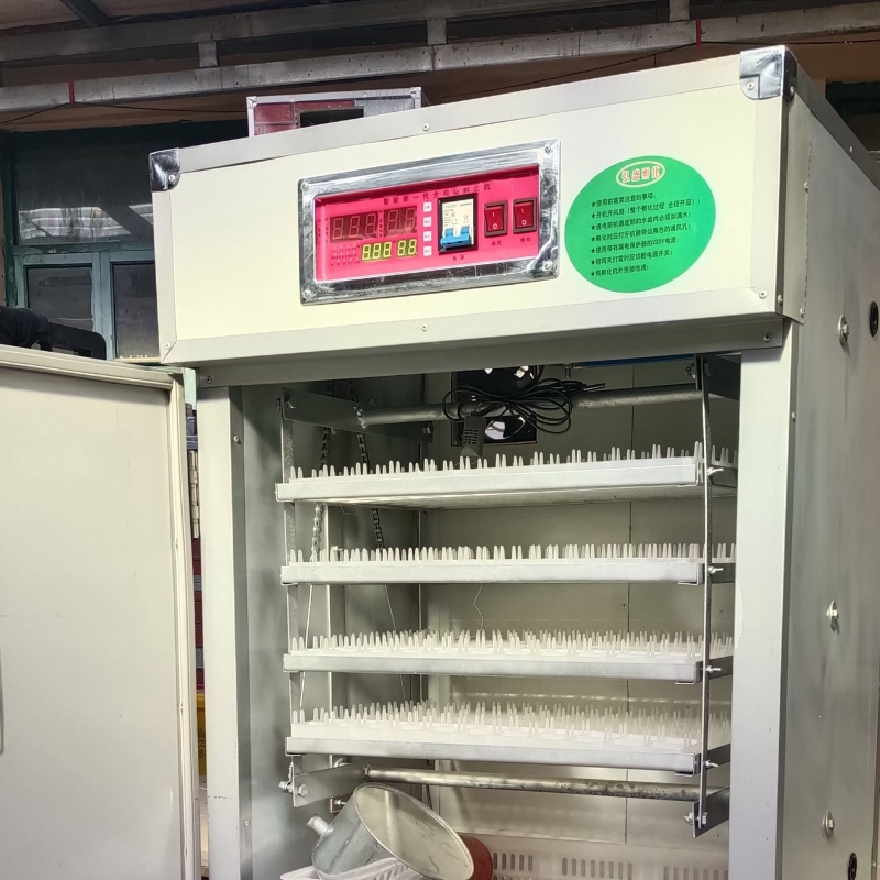 Automatic Incubator Transparent Commercial Incubators For Hatching Eggs