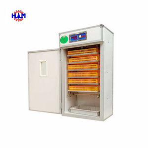 Automatic Incubator Transparent Commercial Incubators For Hatching Eggs