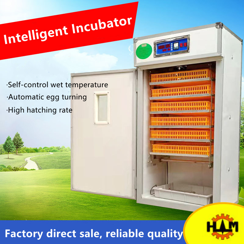 Automatic Incubator Transparent Commercial Incubators For Hatching Eggs