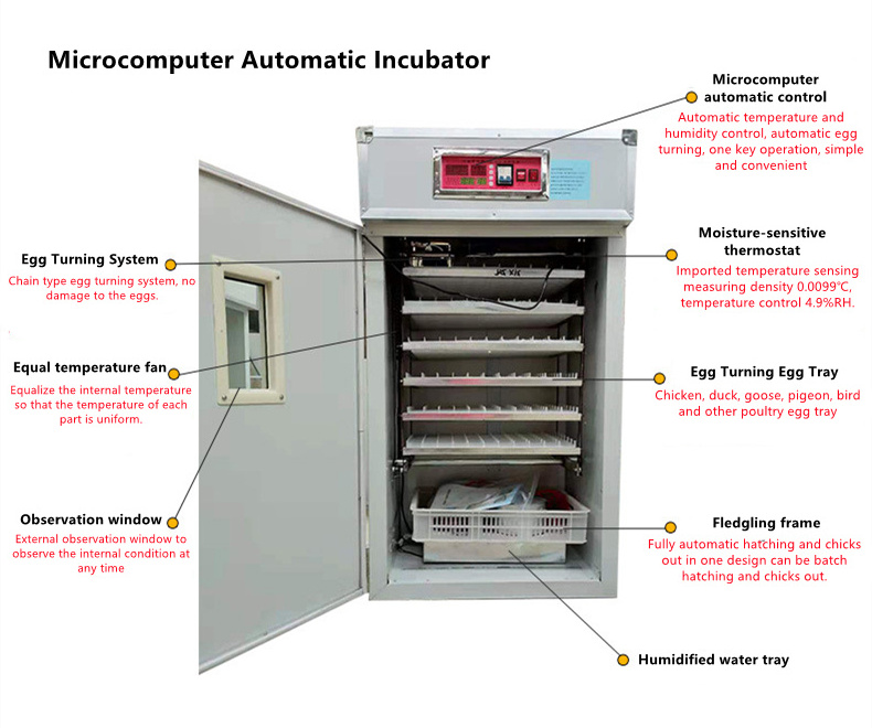 Automatic Incubator Transparent Commercial Incubators For Hatching Eggs