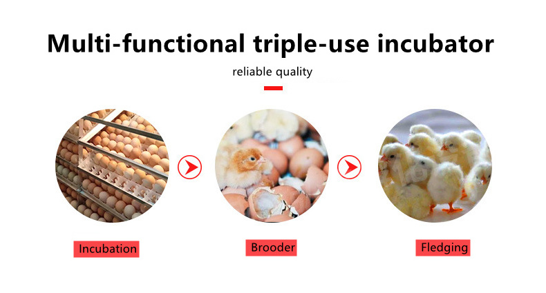 Automatic Incubator Transparent Commercial Incubators For Hatching Eggs