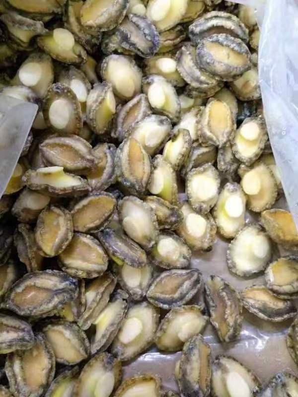 Competitive Frozen Abalone shell-off IQF boiled abalone meat Chinese exporter importer frozen seafood mussel meat without shell