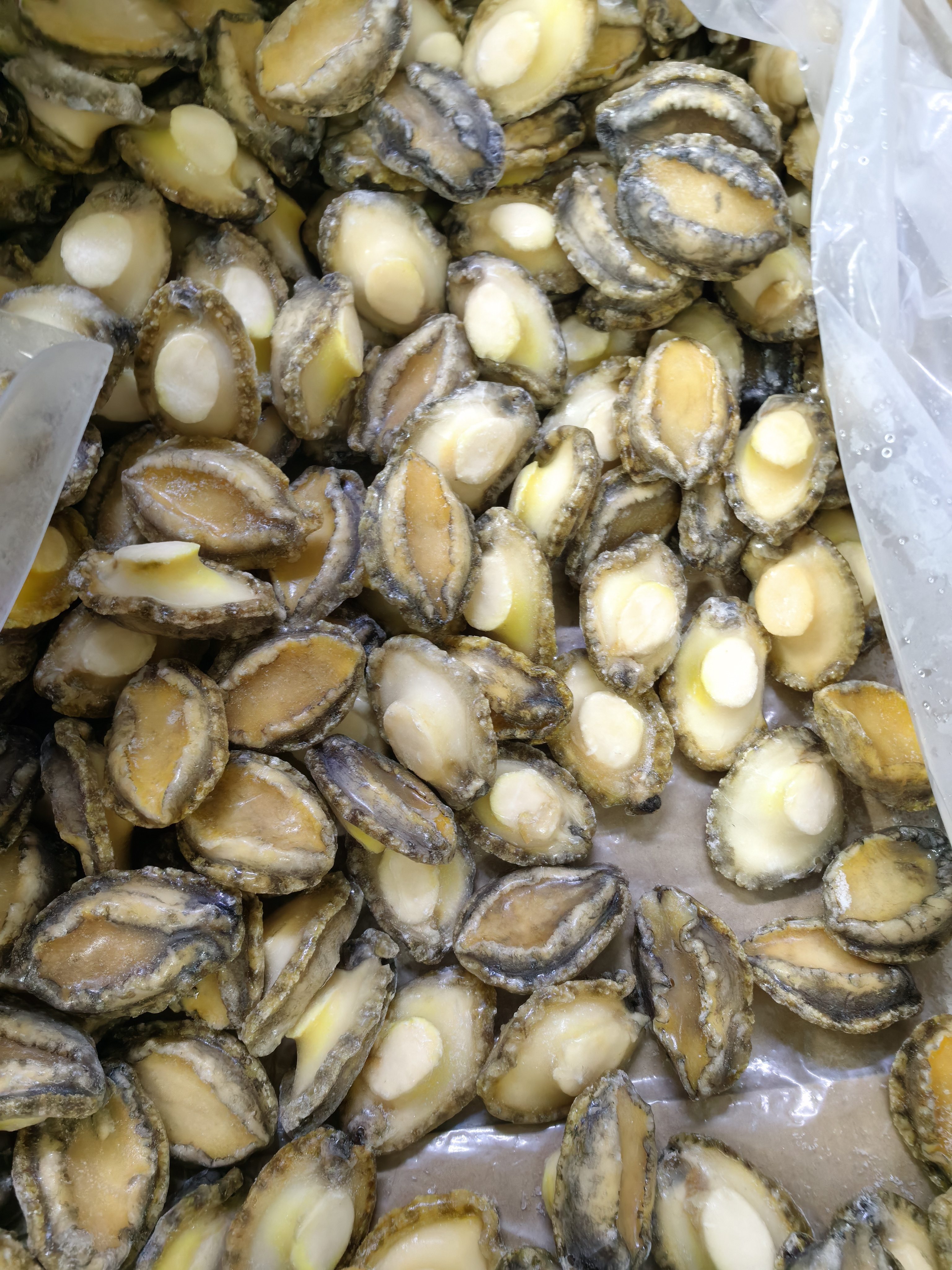 Competitive Frozen Abalone shell-off IQF boiled abalone meat Chinese exporter importer frozen seafood mussel meat without shell