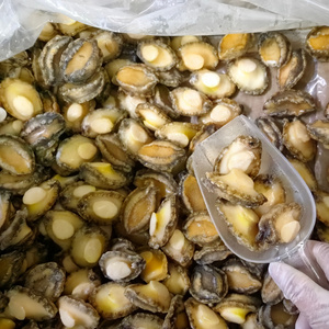 Competitive Frozen Abalone shell-off IQF boiled abalone meat Chinese exporter importer frozen seafood mussel meat without shell