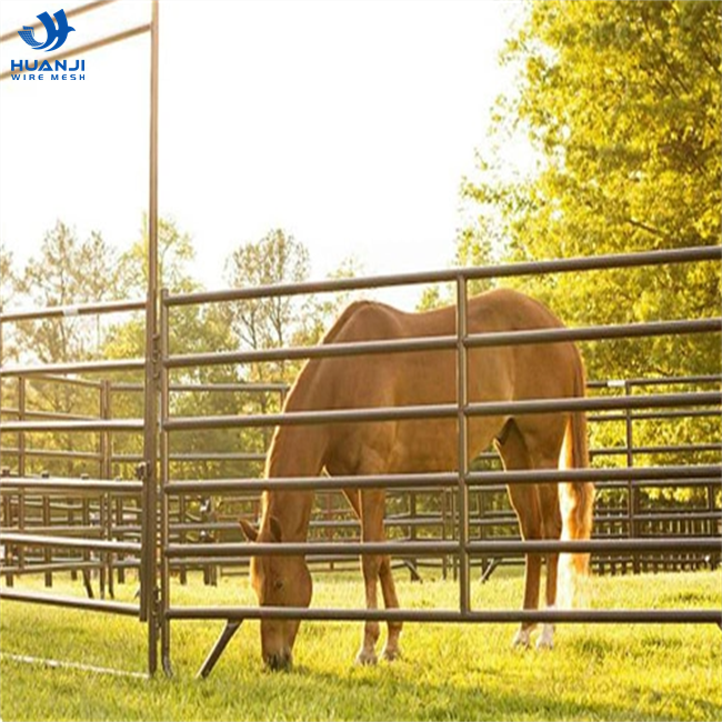 Australia Standard Powder Coated and Hot Dipped Galvanized Corral Fence Used Livestock Panels