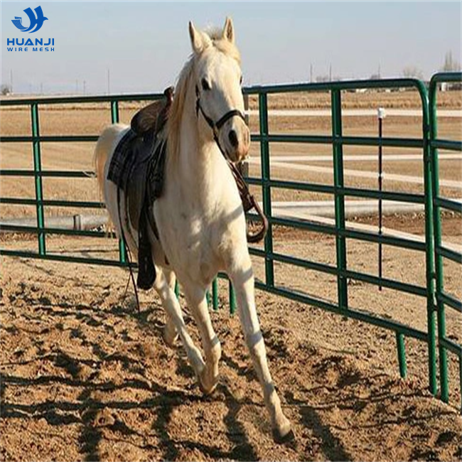 Australia Standard Powder Coated and Hot Dipped Galvanized Corral Fence Used Livestock Panels