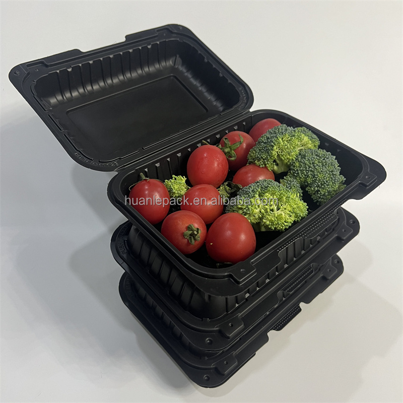 Styrofoam Plate Alternative Restaurant Togo Containers Take Away Lunch Packaging Food  MFPP Box Custom Disposable Sandwich Boxes