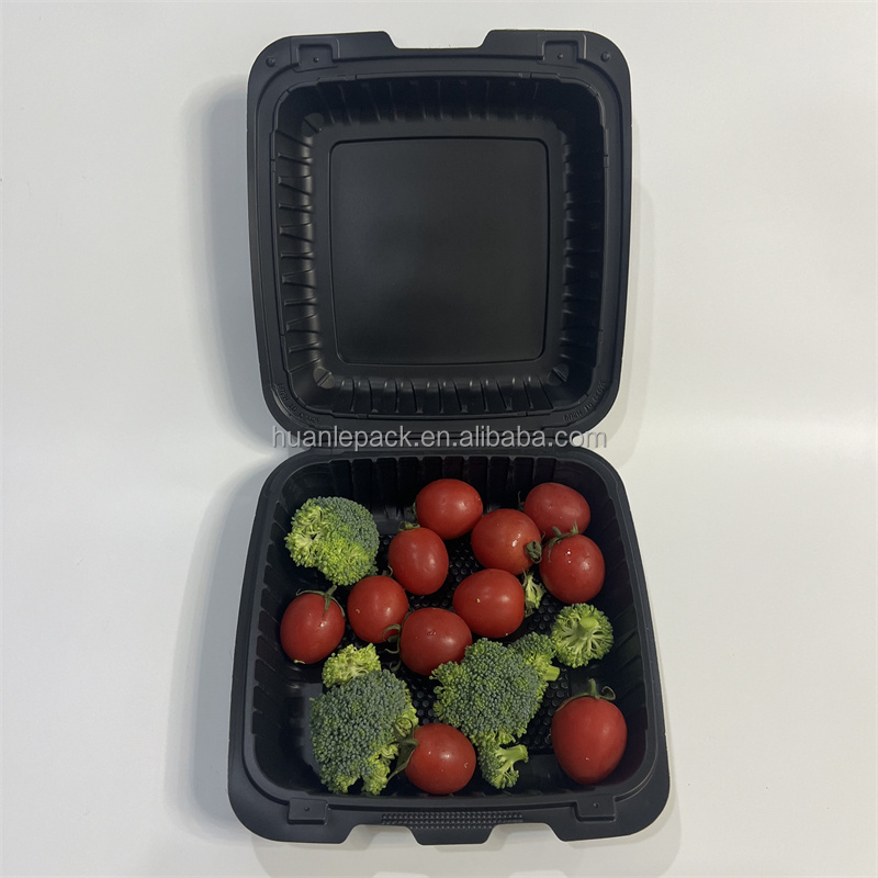 Styrofoam Plate Alternative Restaurant Togo Containers Take Away Lunch Packaging Food  MFPP Box Custom Disposable Sandwich Boxes