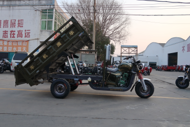 Original Factory 250cc Custom Motorcycle Cargo Tricycle Motorized Gasoline Tricycle Three Wheel Motorcycles for Sale