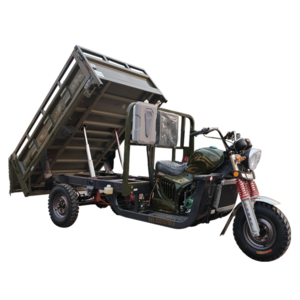 Original Factory 250cc Custom Motorcycle Cargo Tricycle Motorized Gasoline Tricycle Three Wheel Motorcycles for Sale