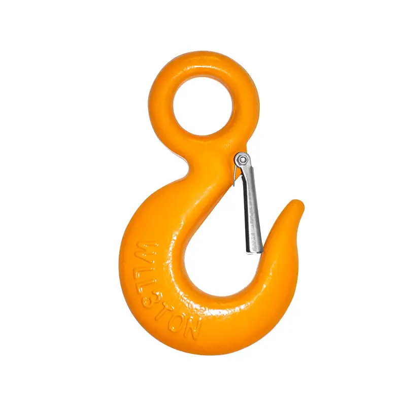 Different Size Alloy Steel Material Eye Sling Hook With Latch lifting Eye hook