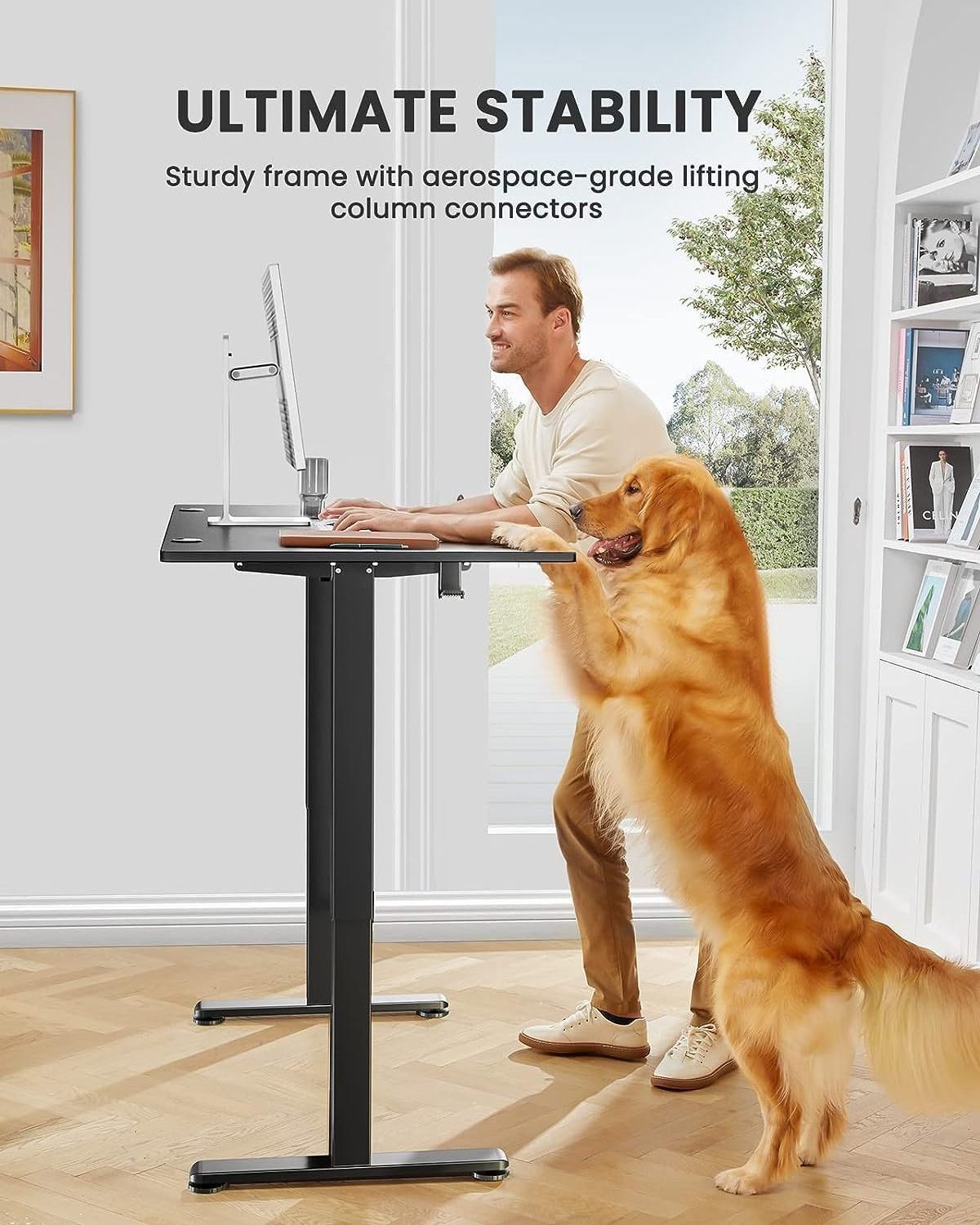 ErGear Design Ergonomic Modern Office Computer Table Sit Stand Desk Single Motor Standing Desk Electric Height Adjustable Desk