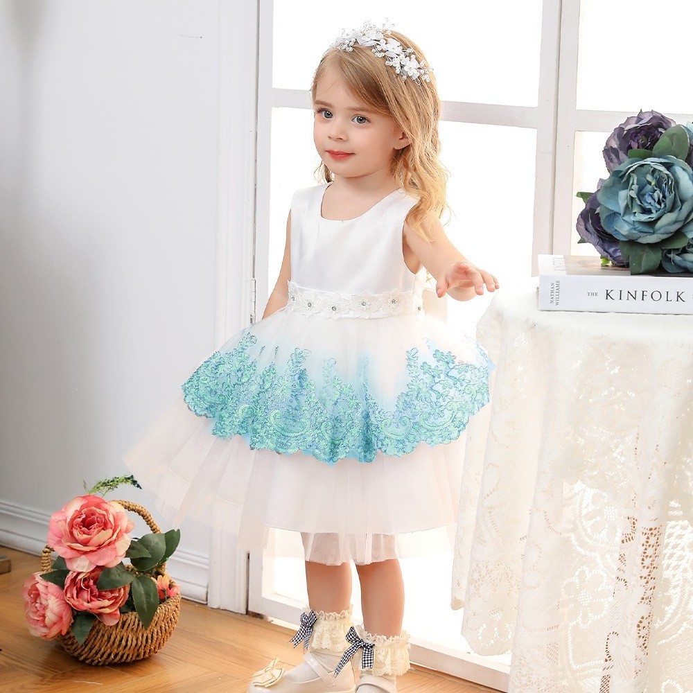 2022 Little Girl Dress Top-ranking Suppliers  Embroider Lace Dresses For Kids