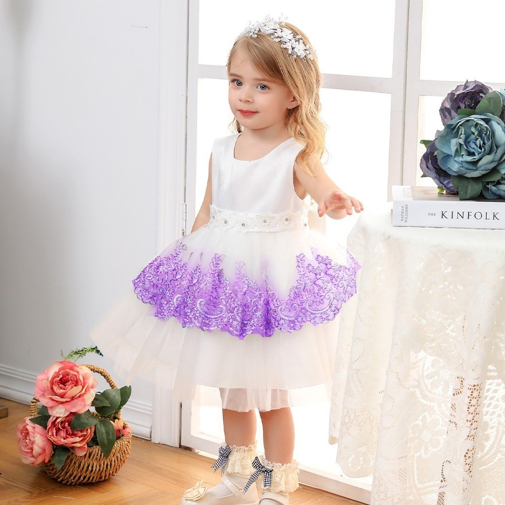 2022 Little Girl Dress Top-ranking Suppliers  Embroider Lace Dresses For Kids