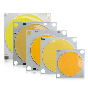 High Cri Cob Led 10W 15W 30W 36W 42W 48W 50W 60W 80W 100W 200W 400W 500W 800W 1000W Led Chip Light Cob Led Bridgelux