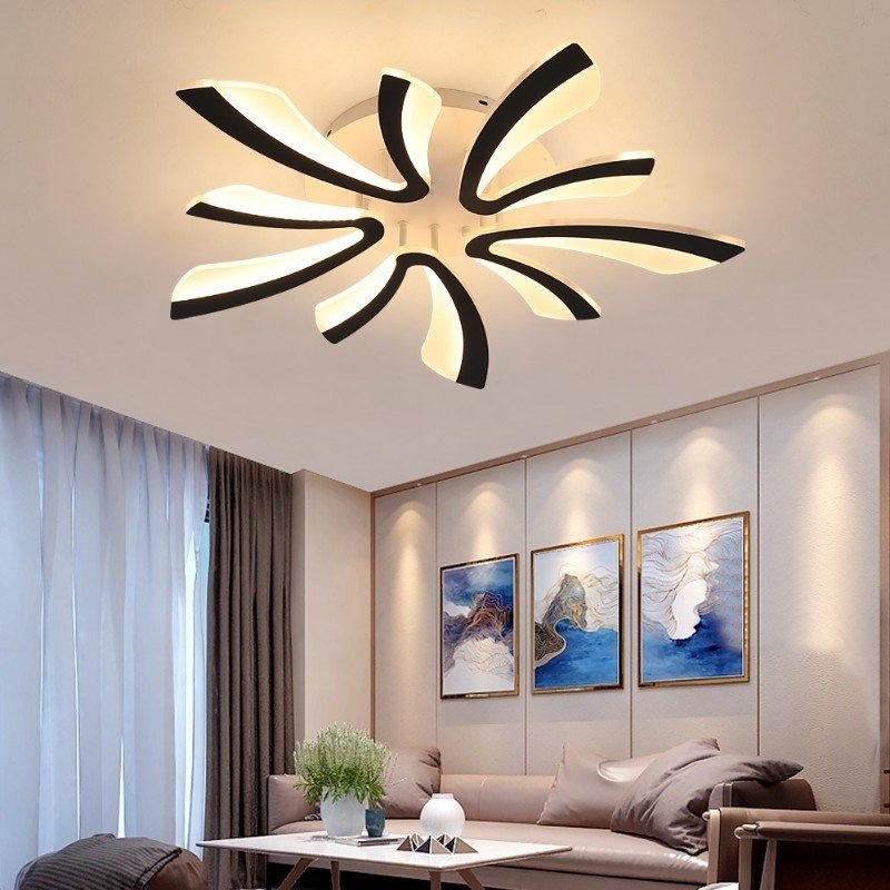 Modern energy saving custom 5v indoor metal acrylic material ceiling light