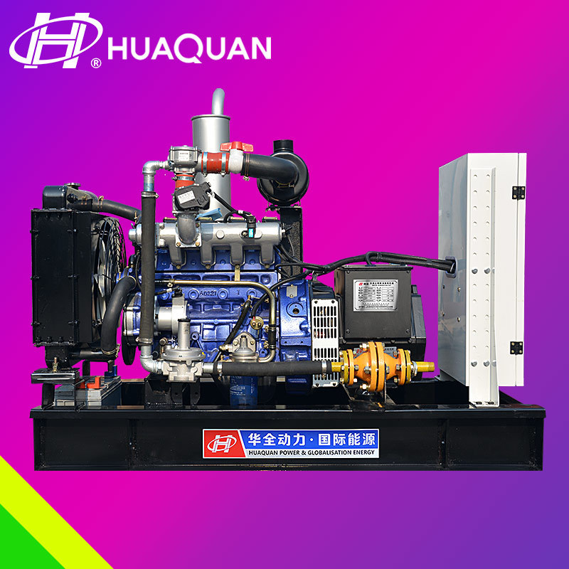 10kW biogas generator with ac single/three phase brushless genset