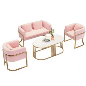 Nordic Beauty Salon Sofa Simple Modern Fashion Small Family Leisure Sofa Web Celebrity Clothing Store Sofa Chair