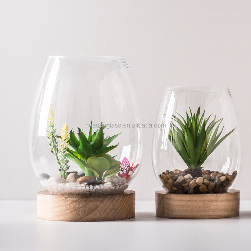 new cheap factory stock glass vase for air plant, aquatic plant and mini landscape