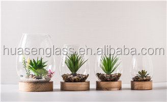 new cheap factory stock glass vase for air plant, aquatic plant and mini landscape