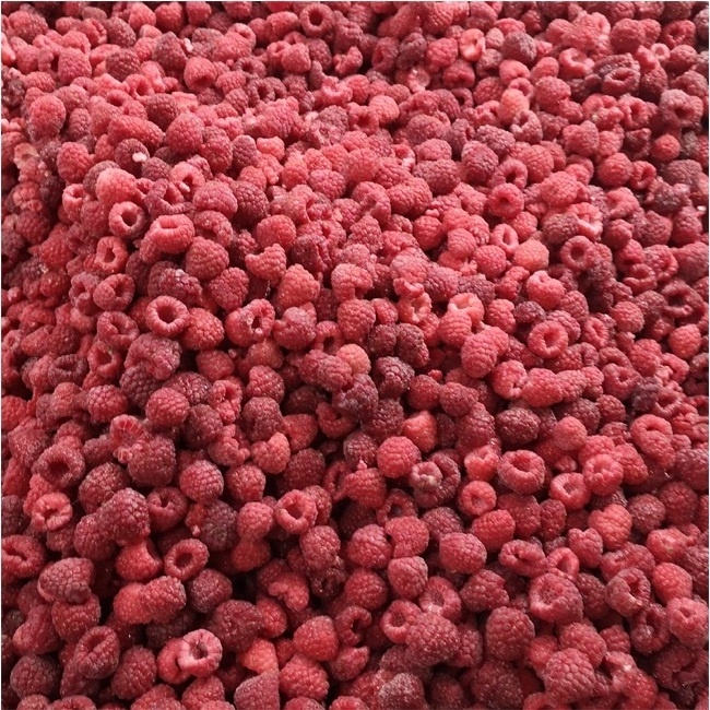 Frozen IQF Raspberry Whole New Crop Frozen Raspberry Fruit