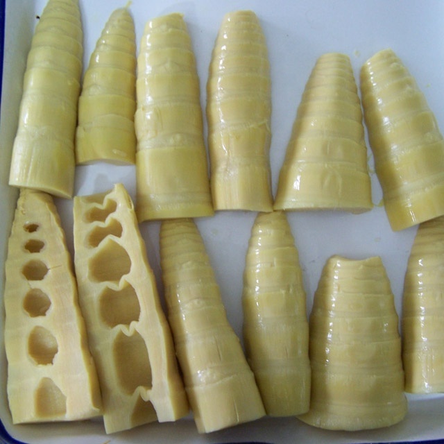 Canned Fresh Bamboo Shoot Strips/Halves/Slice/Diced