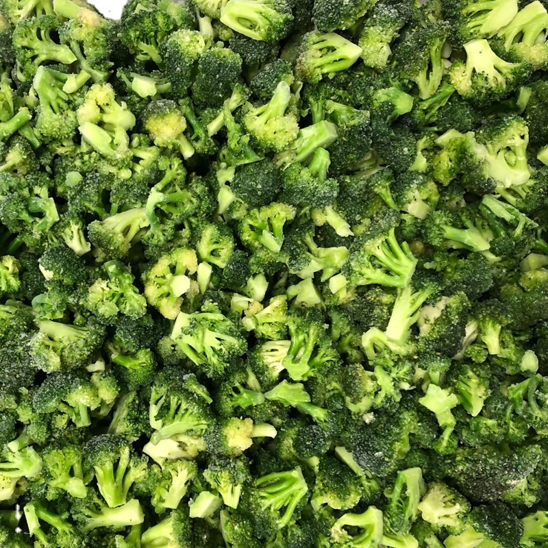 Premium Quality IQF Frozen Broccoli Frozen Broccoli Floret