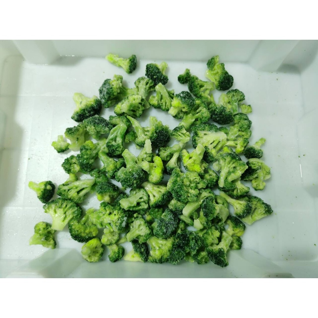 2024 New Crop Wholesale Premium IQF Frozen Broccoli Frozen Broccoli Floret