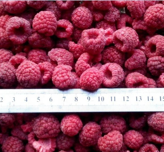 Frozen IQF Raspberry Whole New Crop Frozen Raspberry Fruit