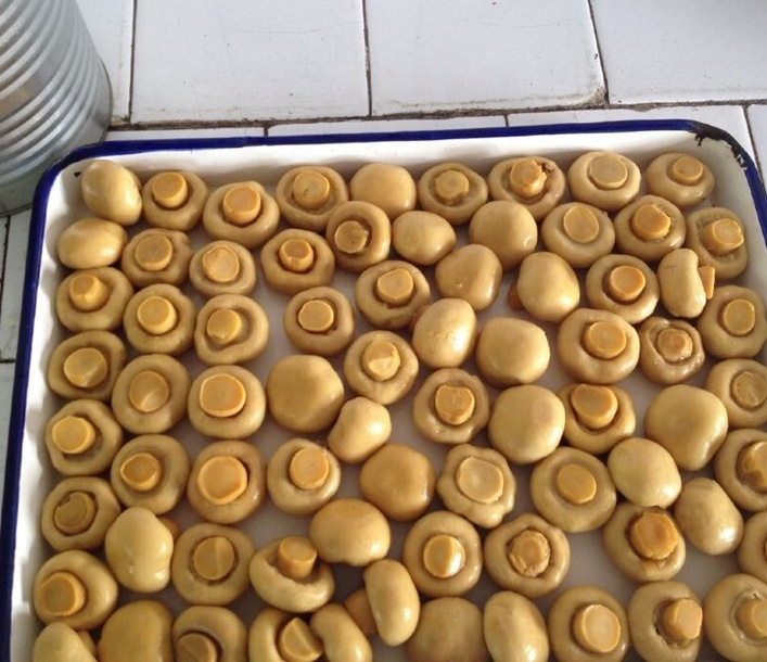 Wholesale Chinese Best Canned Champignon Mushroom in Stock