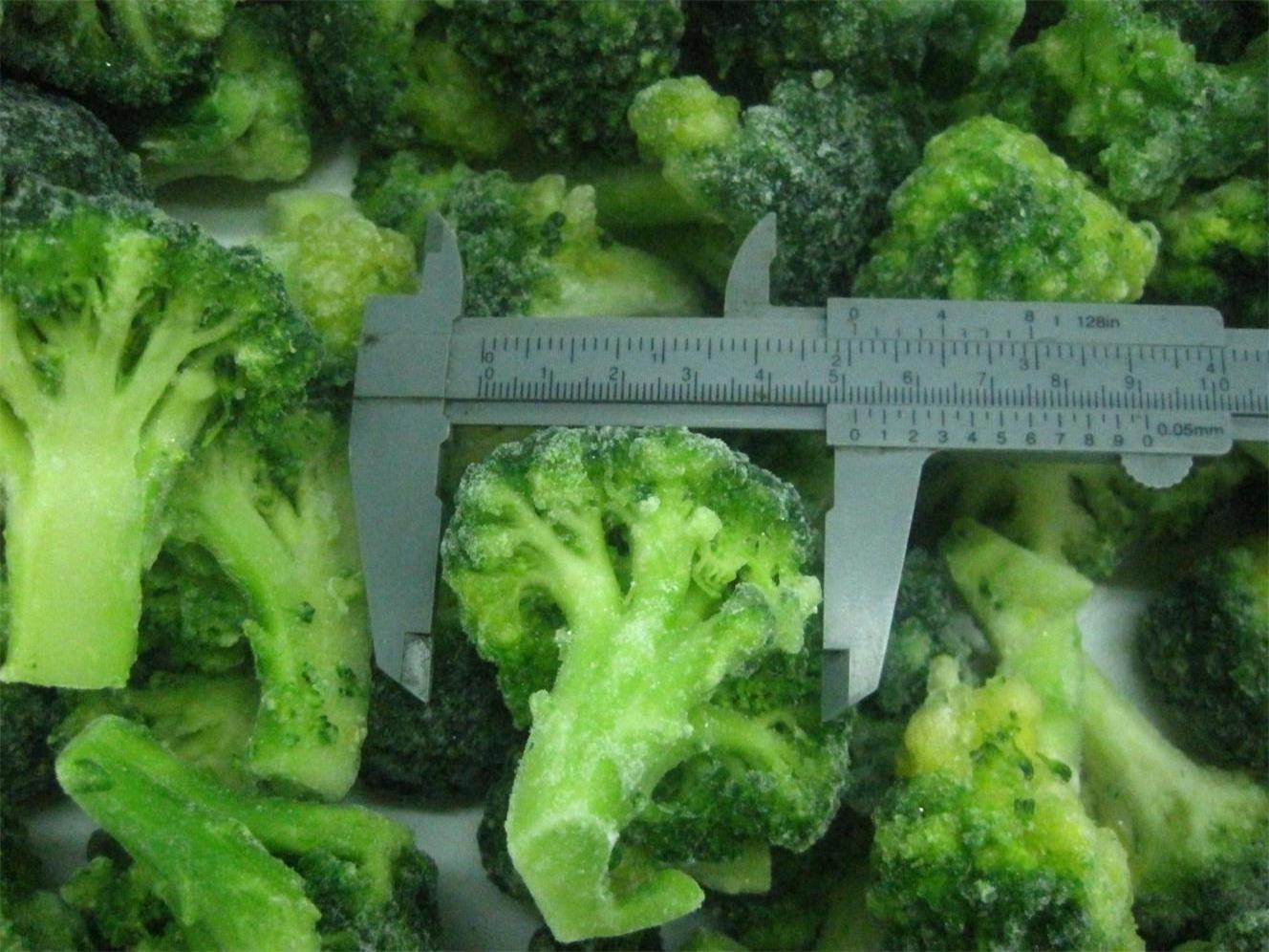 Hot Sale IQF Frozen Broccoli Floret