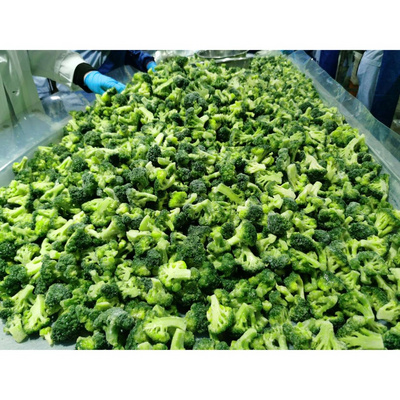 2024 New Crop Wholesale Premium IQF Frozen Broccoli Frozen Broccoli Floret