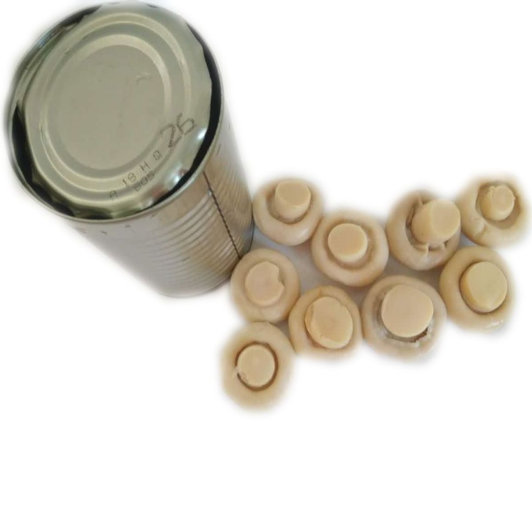 canned whole button mushroom in tins slice pieces and stem brine